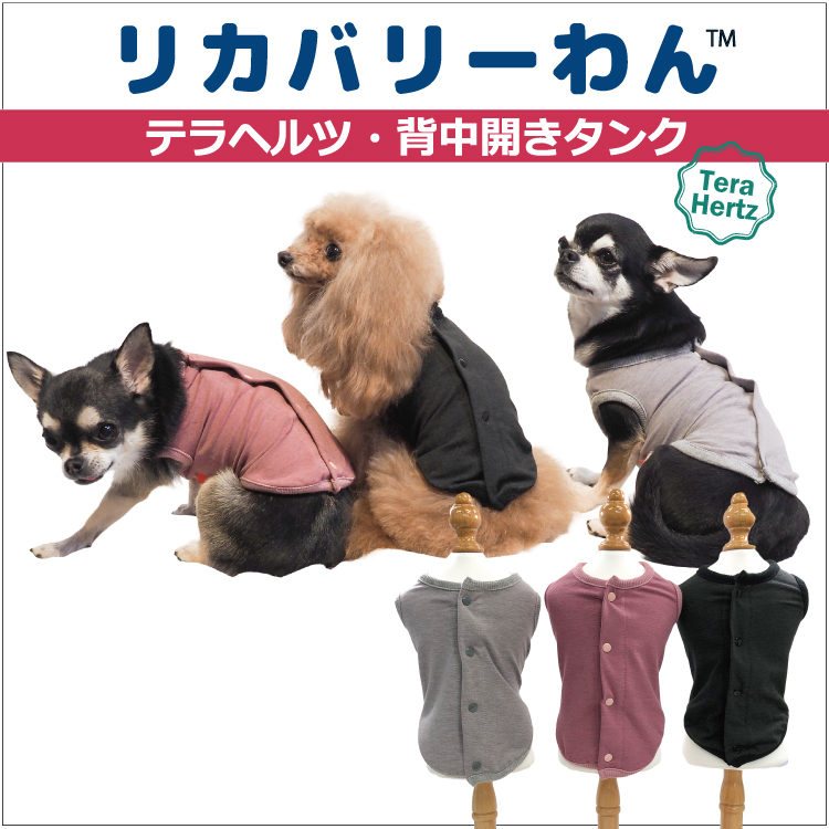 犬リカバリーウェア ロングセラー人気商品♪ 【テラヘルツ・背中開き