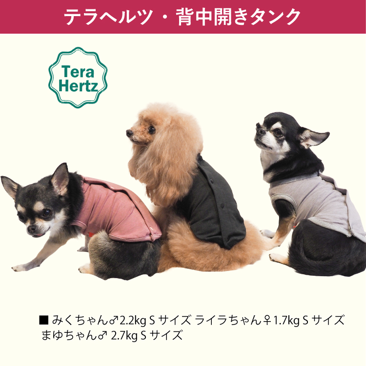 犬リカバリーウェア ロングセラー人気商品♪ 【テラヘルツ・背中開き