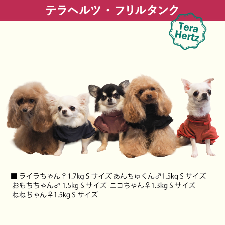犬リカバリーウェア 【人気商品】女の子にピッタリ!5色カラー♪大人気