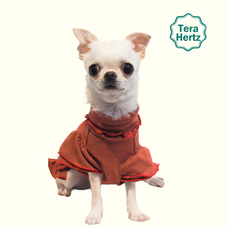 犬リカバリーウェア 【人気商品】女の子にピッタリ!5色カラー♪大人気