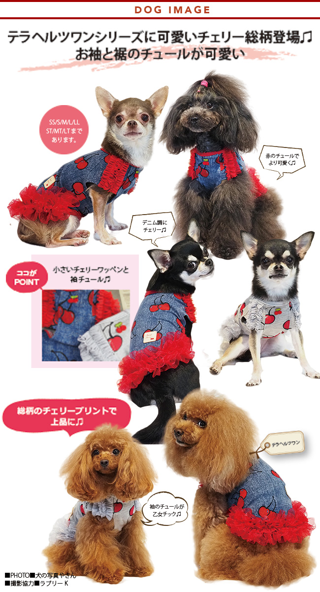 発売中 テラヘルツワン ルルワンピース 2色 犬服 Ssからll