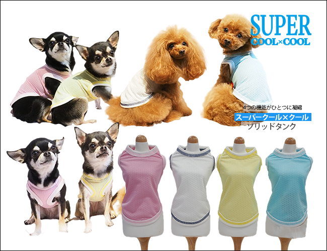 2020スーパークール×クール12280