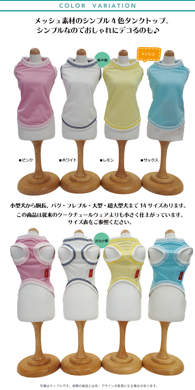 2020スーパークール×クール12281