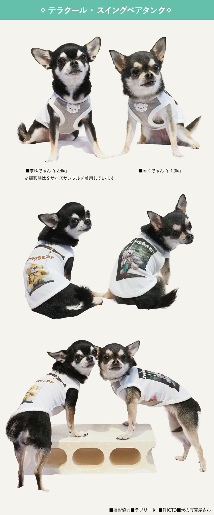 犬 服 シャインタンク 22新作 Ss Fblサイズ 夏服 ドッグウェア テラクール