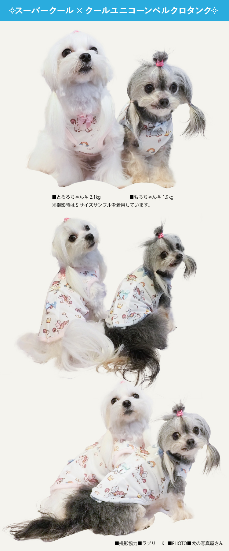 クークチュール テラクール Coocouture Ukタンク Supercool Coolplus22 かわいい タンクトップ ドッグウェア 可愛い 女の子 春夏 犬の服 犬服 男の子 超大型犬用 Slサイズ 誠実 Ukタンク