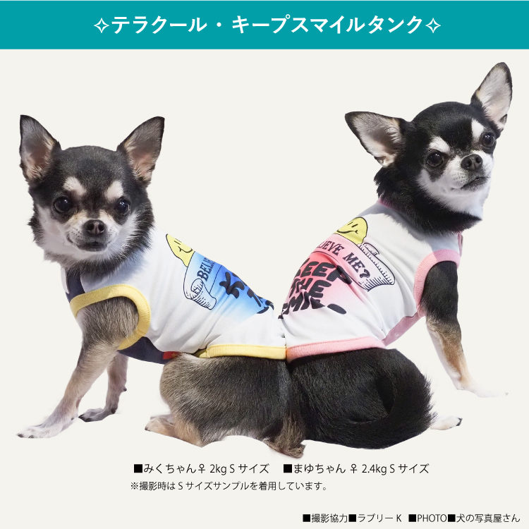 犬服タンクトップ星柄　SSサイズ（〜2キロ）