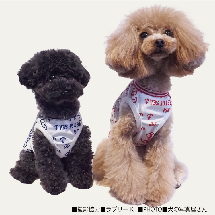 数量は多 在庫限り】 2024夏物新作ドッグウェア 【スーパークール×クール 犬服・アクセサリー