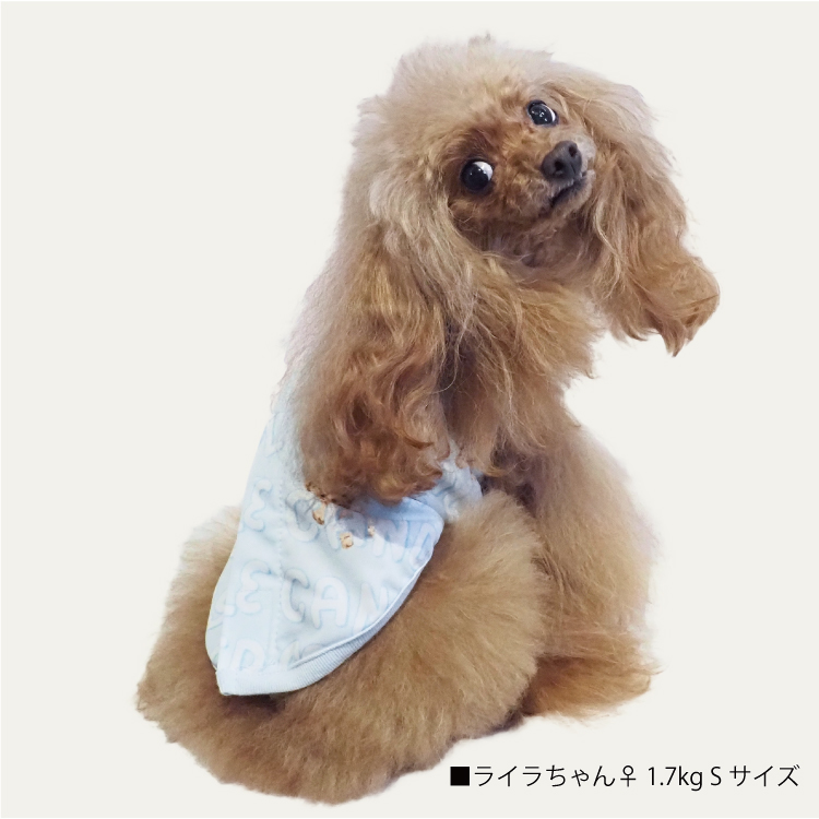 犬服 スーパークール・マリーン＆バビ背中開きタンク・✩ringo