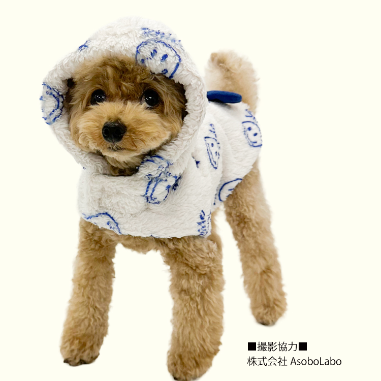 在庫限り】犬リカバリーウェア 2025クークチュール秋冬新作