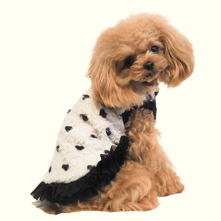 発売中】犬リカバリーウェア 2025クークチュール秋冬新作 【テラヘルツ