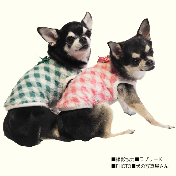 発売中】犬リカバリーウェア 2025クークチュール秋冬新作 【テラヘルツ