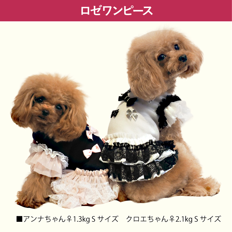 犬服　ドットフリフリワンピース　見本です　Blackベース 犬服 ドットフリフリワンピース 見本です Blackベース