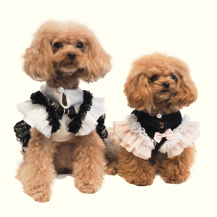 ロゼ　犬服　ハンドメイド b796b32349a79bd5494518468475f7