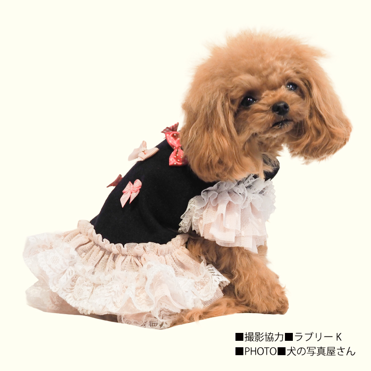 在庫限り】2025クークチュール秋冬新作 【ロゼワンピース】（2色