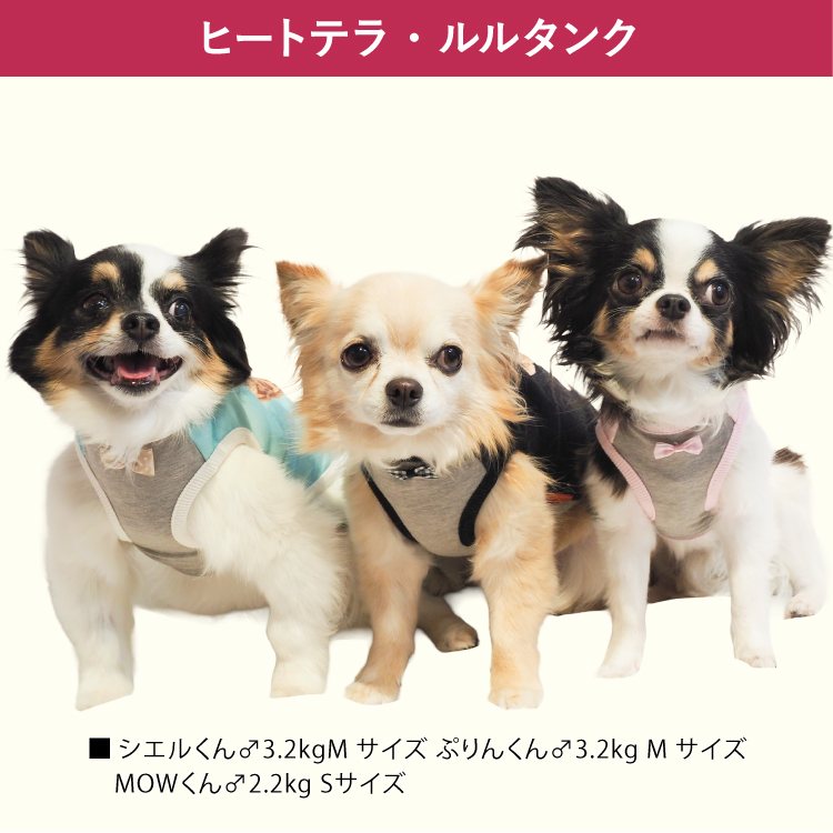 12/12再入荷/在庫限り】犬リカバリーウェア 2025クークチュール秋冬