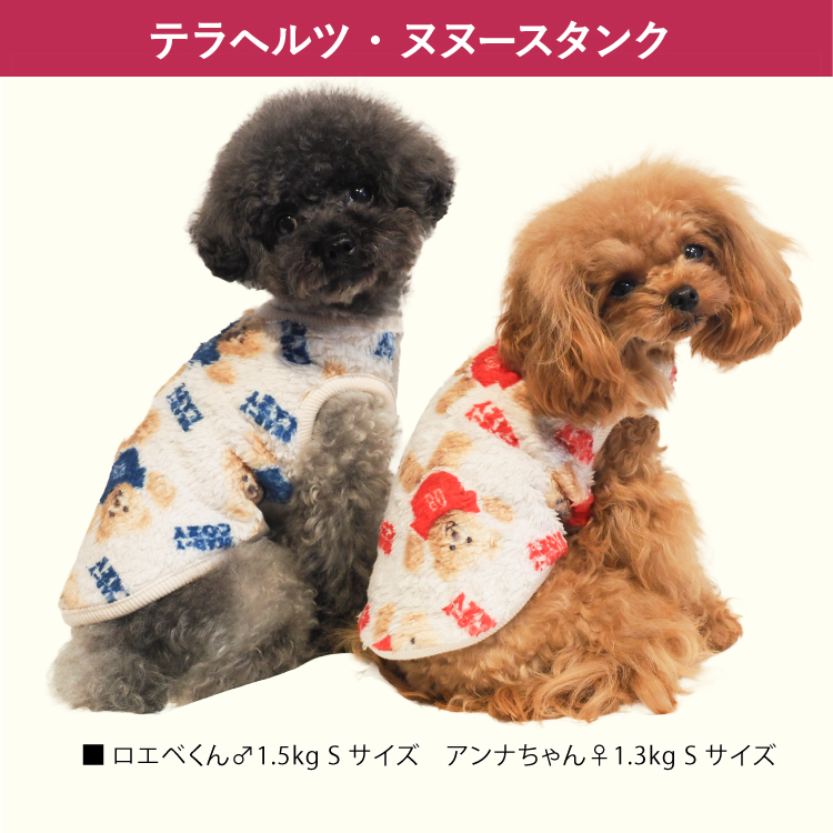 発売中】犬リカバリーウェア 2025クークチュール秋冬新作 【テラヘルツ