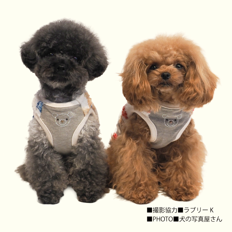 いっぬ商品 発売中】犬リカバリーウェア 2025クークチュール秋冬新作