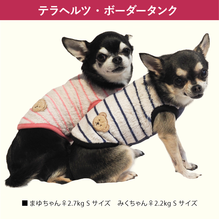 在庫限り】犬リカバリーウェア 2025クークチュール秋冬新作