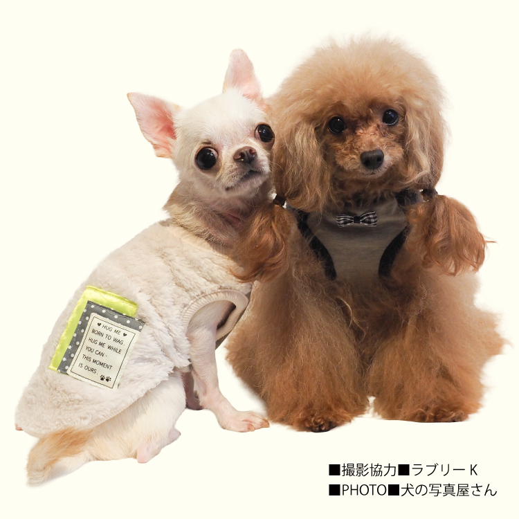 在庫限り】犬リカバリーウェア 2025クークチュール秋冬新作