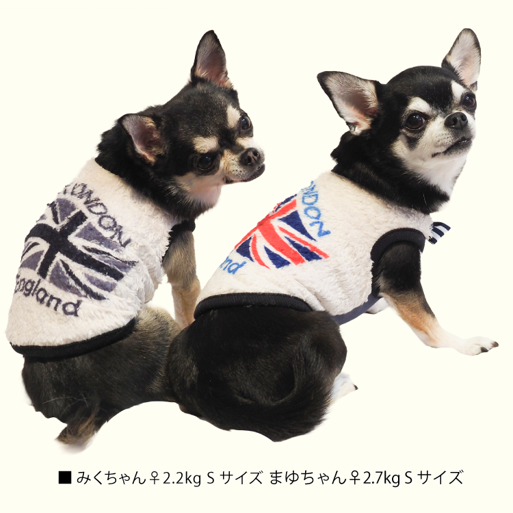 発売中】2025クークチュール秋冬新作 【テラヘルツ・ユニオン