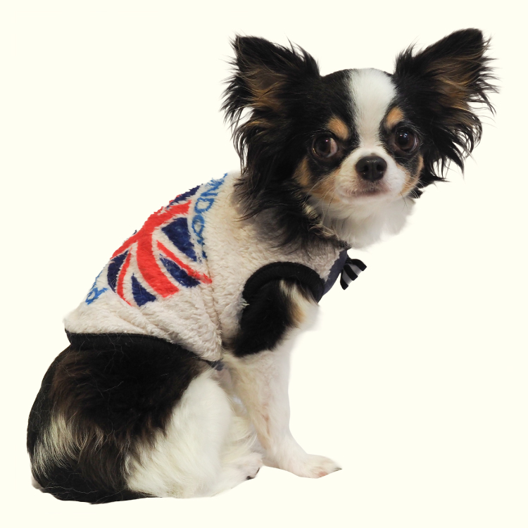 在庫限り】犬リカバリーウェア 2025クークチュール秋冬新作