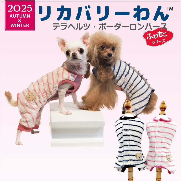 夢はあきらめないオーダー犬服　3点 発売中】犬リカバリーウェア 2025クークチュール秋冬新作 【テラヘルツ
