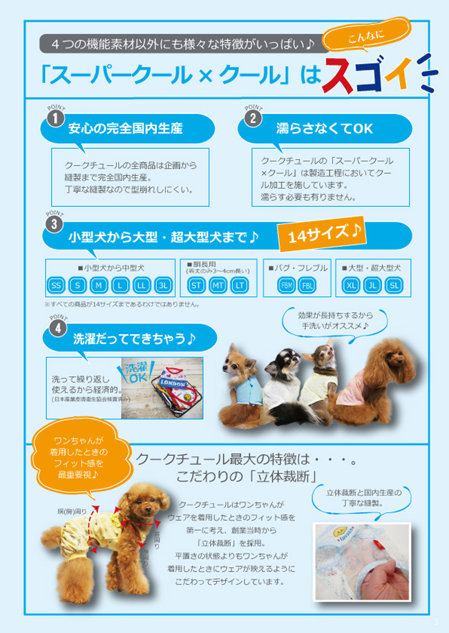 2020スーパークール×クール説明2