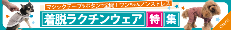 テラヘルツワン2025バナー