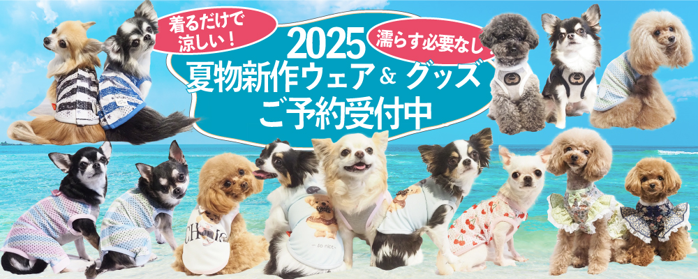 2025夏物新作トップスライダー
