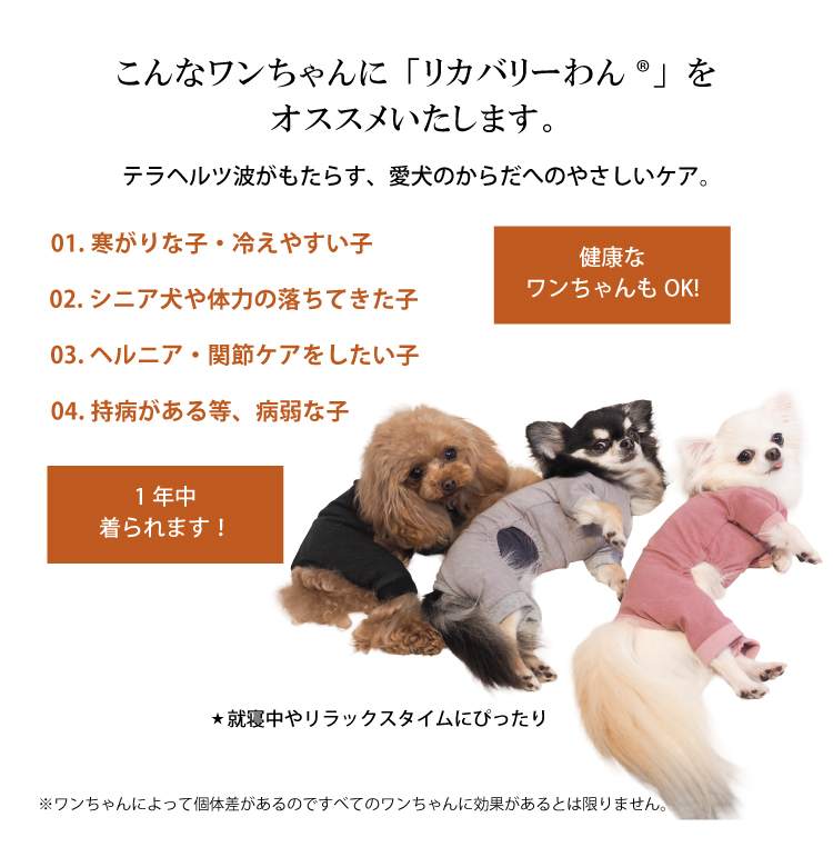 rマーク入り2026夏物新作