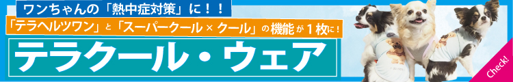 2025夏物新作テラクールバナ