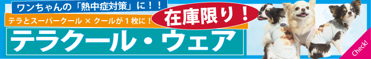 2025クークチュール夏物在庫限り 