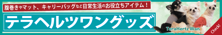 テラヘルツワン2025バナー