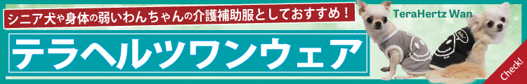 テラヘルツワン2025バナー