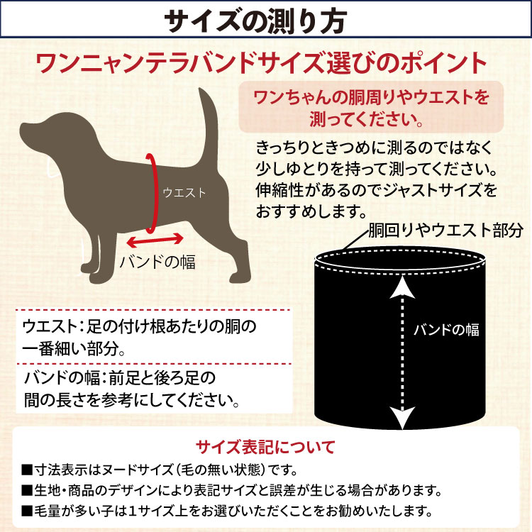 ❤犬用　ブラック　ＳＳ サイズ　大人気！　テラヘルツワン・ワンニャンテラバンド 2/27再入荷】犬介護 爆売れ人気商品! 【テラヘルツワン