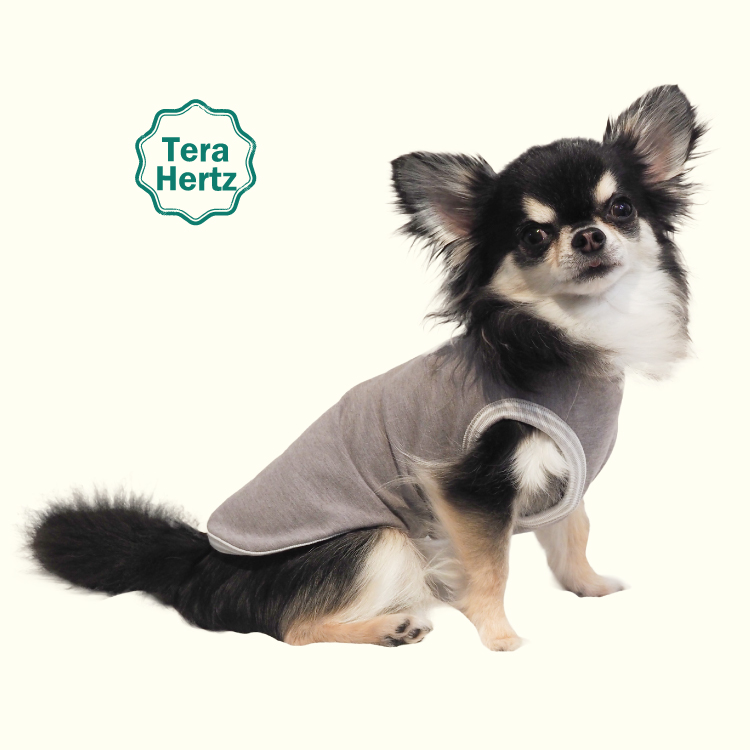 11/19ブラック/ピンク再入荷】犬リカバリーウェア めちゃ売れ人気商品