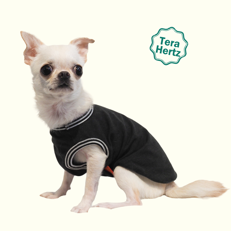 追加生産中/11月下旬入荷予定/ご予約承り中】犬リカバリーウェア