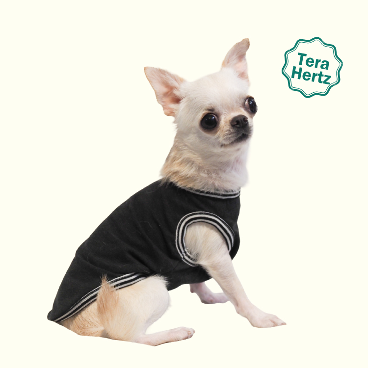 ♡【新品未使用】犬用着物リバーシブル 11/19ブラック/ピンク再入荷】犬リカバリーウェア めちゃ売れ人気商品