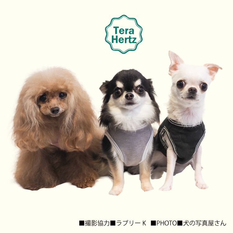 11/19ブラック/ピンク再入荷】犬リカバリーウェア めちゃ売れ人気商品