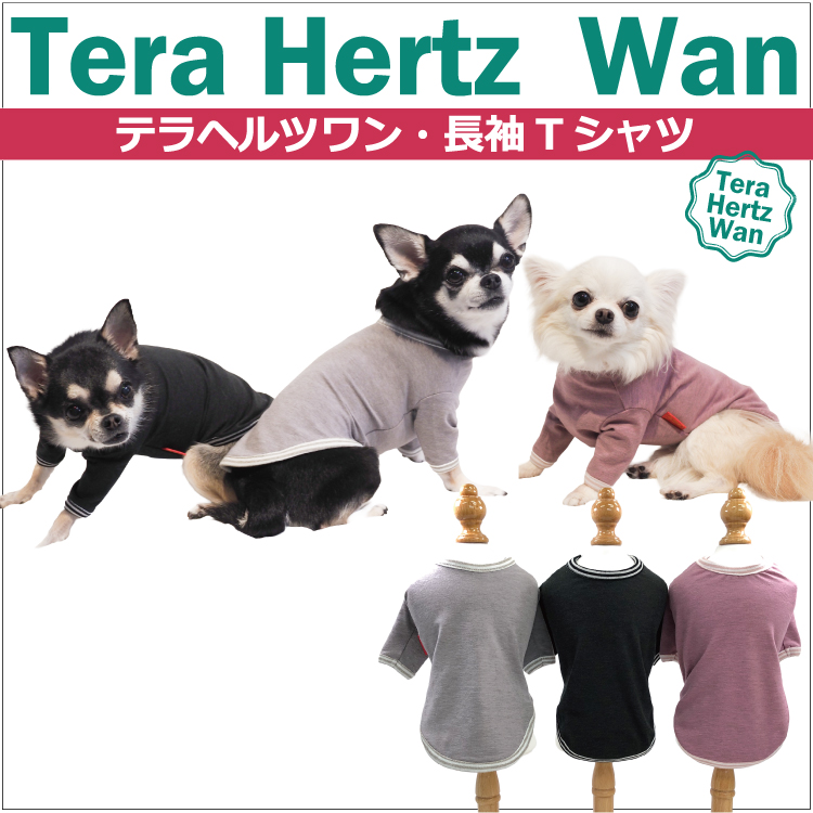 ❤犬用　ブラック　ＳＳ サイズ　大人気！　テラヘルツワン・ワンニャンテラバンド レビューで300円クーポン進呈》テラヘルツワン・ベルクロテラ