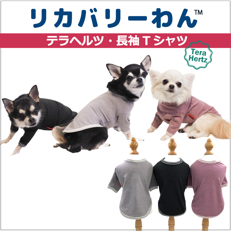 犬服　魁花　ご確認 発売中】犬リカバリーウェア 2025クークチュール秋冬新作 【テラヘルツ