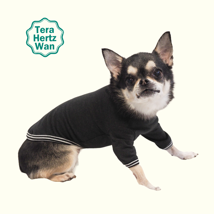 犬介護 めちゃ売れ人気商品♪【テラヘルツワン・長袖Tシャツ