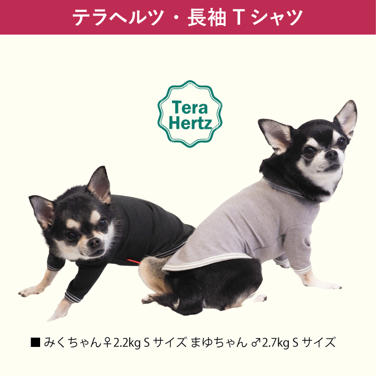 追加生産中/3月上旬から3月中旬入荷予定】犬リカバリーウェア めちゃ