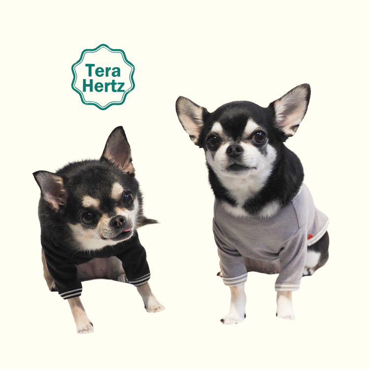 追加生産中/2月下旬から3月上旬入荷予定】犬リカバリーウェア めちゃ