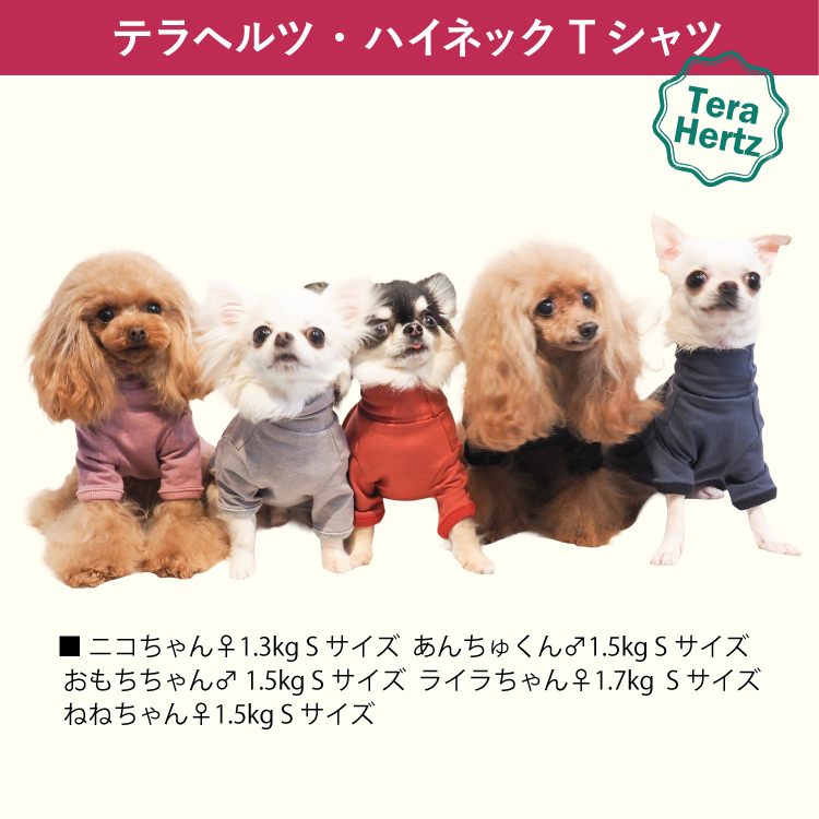 犬猫うさちゃん服 大切な日にはスペシャルなドレスを♡妖精 ohana様専用イタグレ服