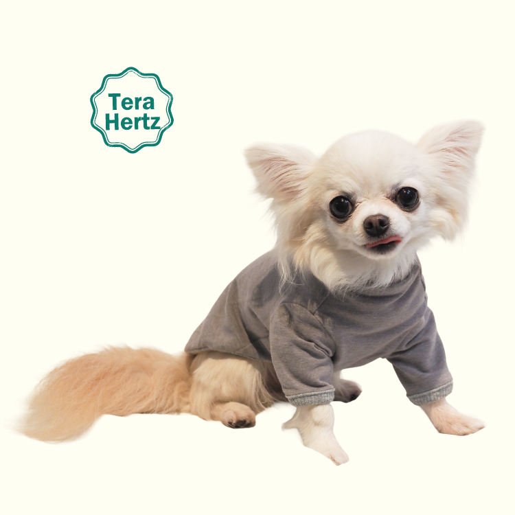 追加生産中/2月中旬入荷予定】犬リカバリーウェア ！人気商品