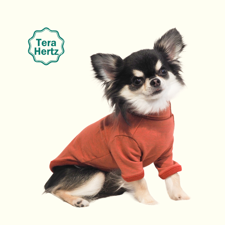 追加生産中/2月中旬入荷予定】犬リカバリーウェア ！人気商品