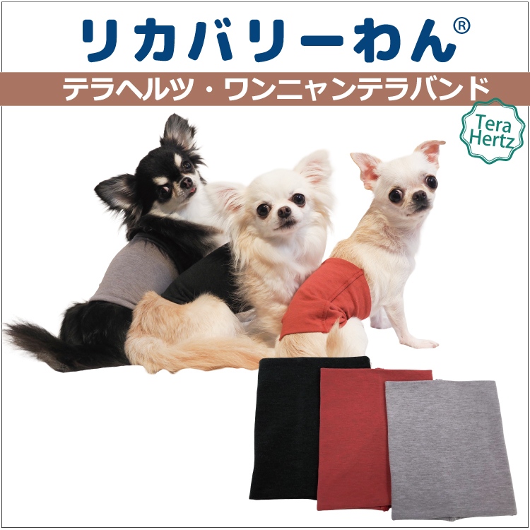 1/23再入荷】犬リカバリーグッズ 犬介護 爆売れ人気商品! 【テラヘルツ