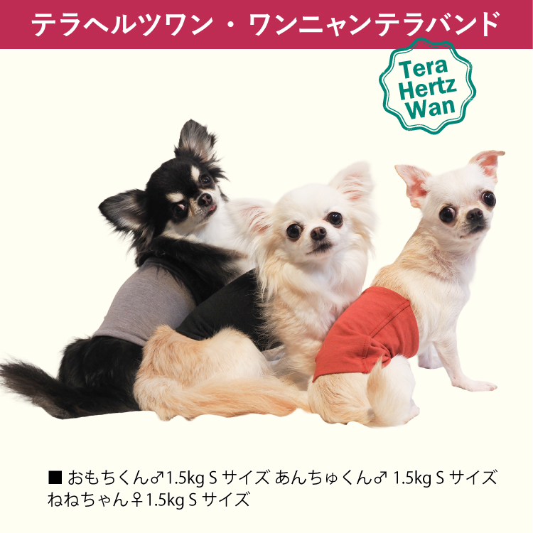 ❤犬用　ブラック　ＳＳ サイズ　大人気！　テラヘルツワン・ワンニャンテラバンド レビューで300円クーポン進呈》テラヘルツワン・ワンニャンテラ