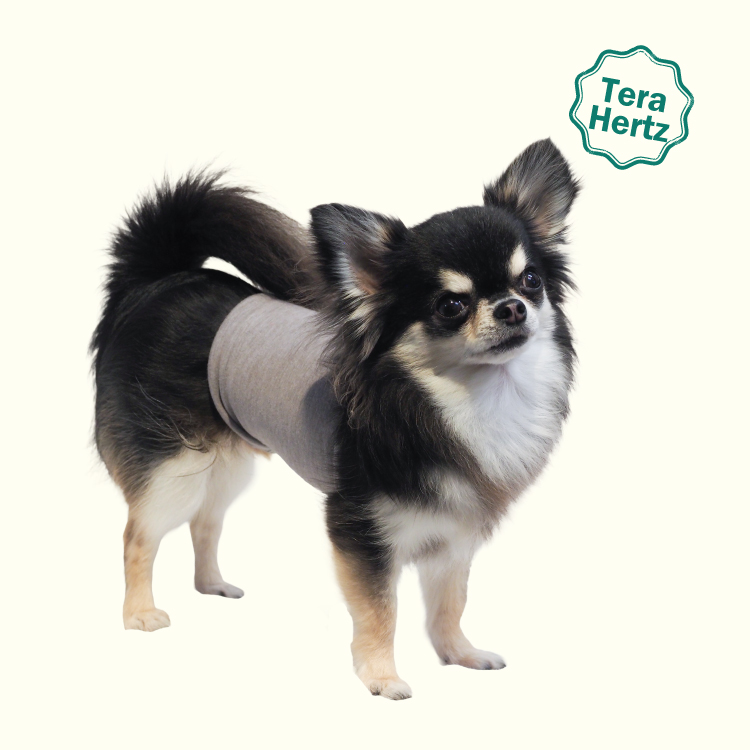 1/23再入荷】犬リカバリーグッズ 犬介護 爆売れ人気商品! 【テラヘルツ